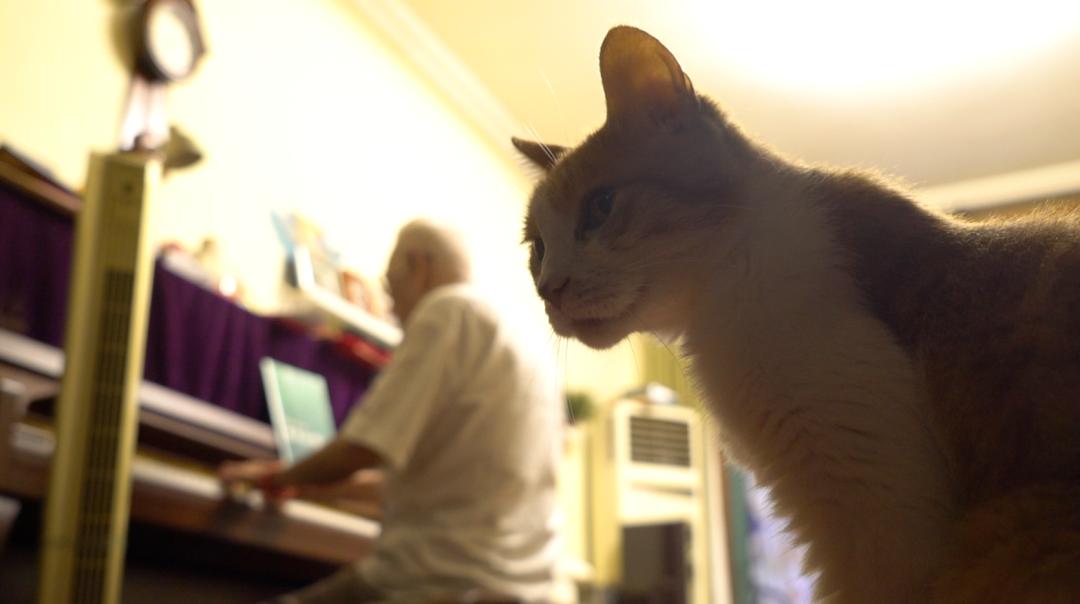 温暖2020的歌词,温暖2020年的直播回放