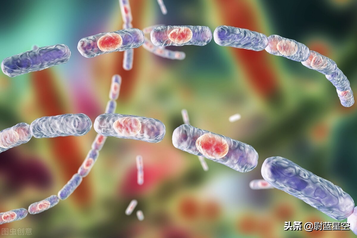 河马路边咬死汽车,不要惹小河马