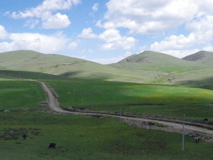 王小花的全部作品,王小花攻略