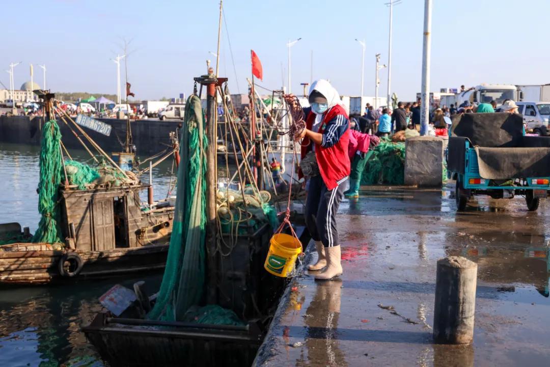 生活在日照是什么感觉,生活在日照就是幸福征文800字