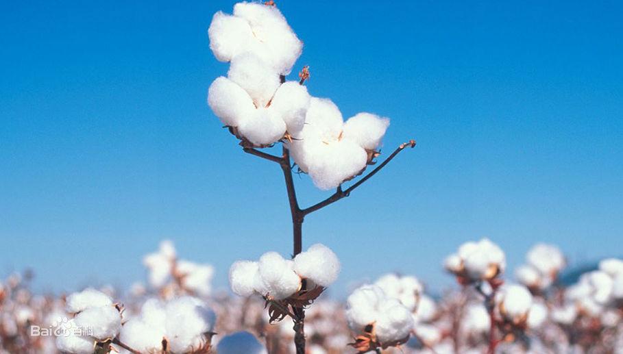 145-150矮个子贴身秋衣秋裤推荐,冬季怎么穿秋衣秋裤不臃肿