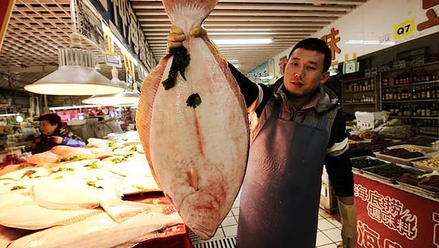 “渔民村”的渔民不打鱼的时候靠什么赚钱?看看你就知道了