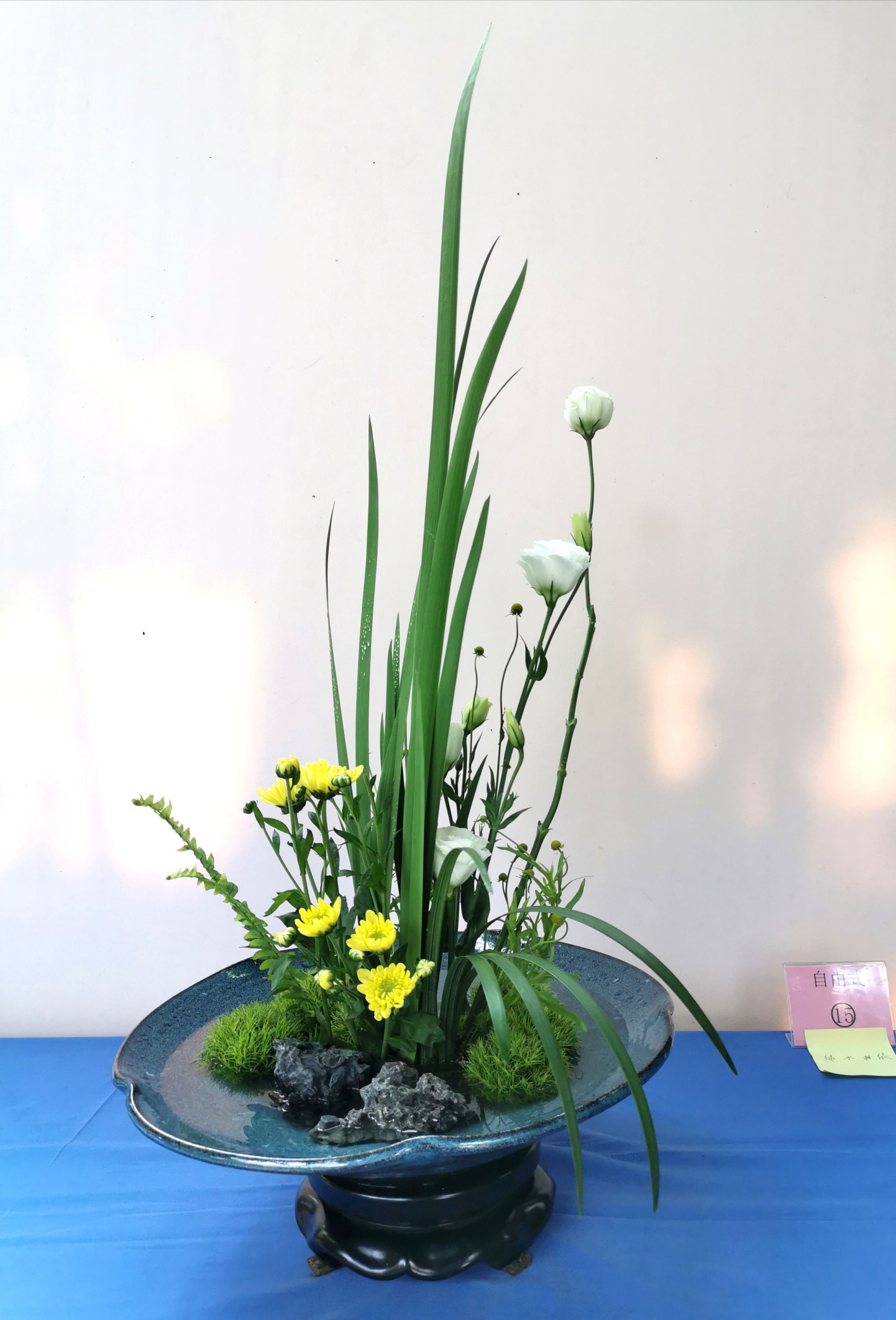 国庆去哪儿南国花锦,国庆去月季公园