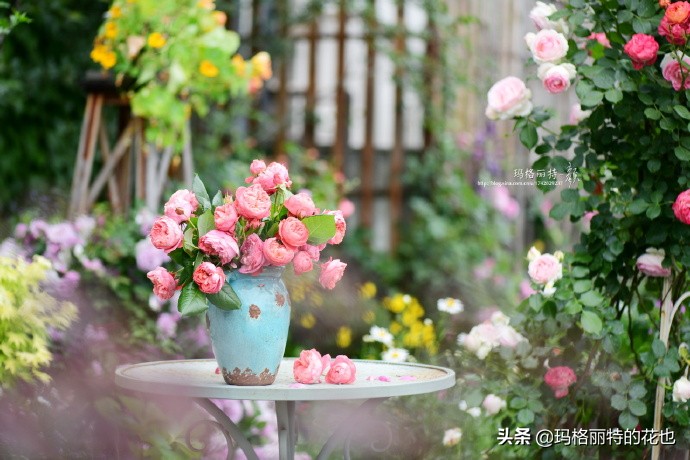 历史悠久的十大名花（海量美图），你选哪个做国花？