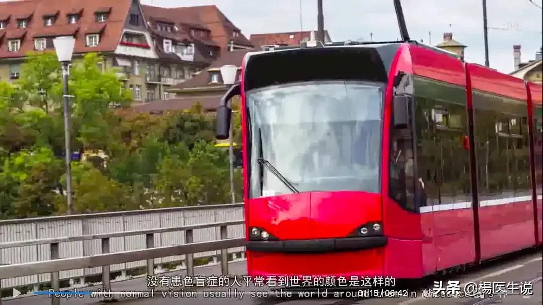 黑白色盲眼中的世界,色盲眼中的世界