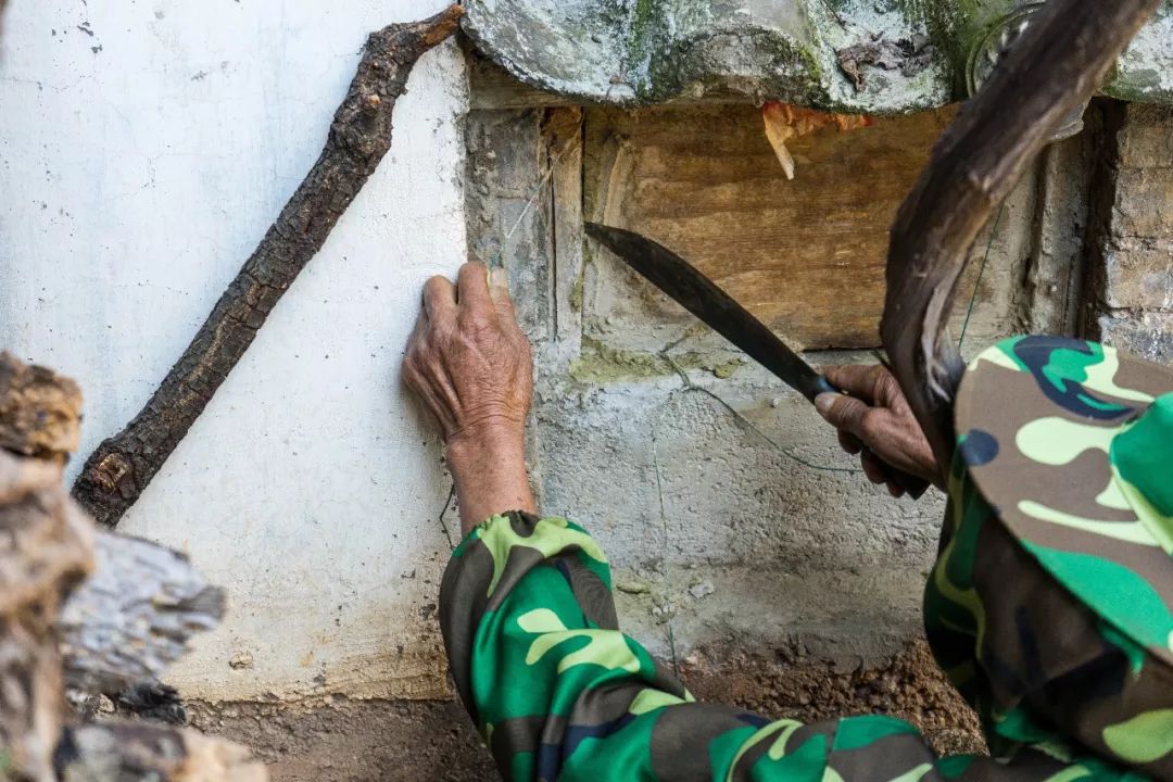 土蜂蜜的取蜜全过程,土蜂蜜取蜜全过程记录
