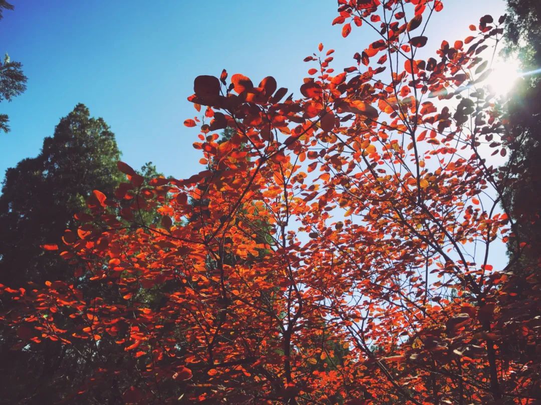 济南亲子遛娃景点排行榜夏季,济南槐荫区遛娃好去处很近的