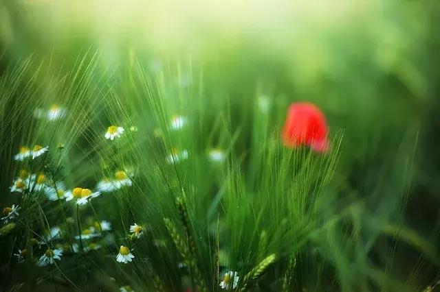 热爱生活的理由又多了一点,热爱生活的理由是什么