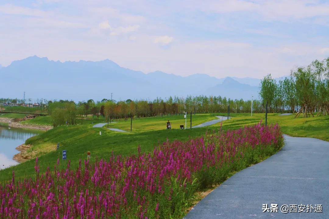西安大草坪公园推荐,西安有大草坪的公园