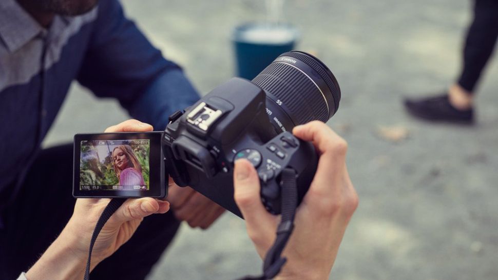 入门级的单反相机推荐哪款比较好,入门级全画幅单反相机推荐