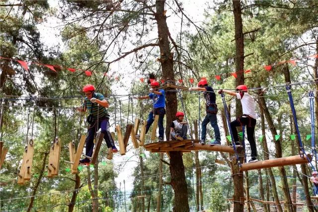 新堡·枫叶谷旅游度假区最新视频,枫叶谷旅游度假区优惠政策