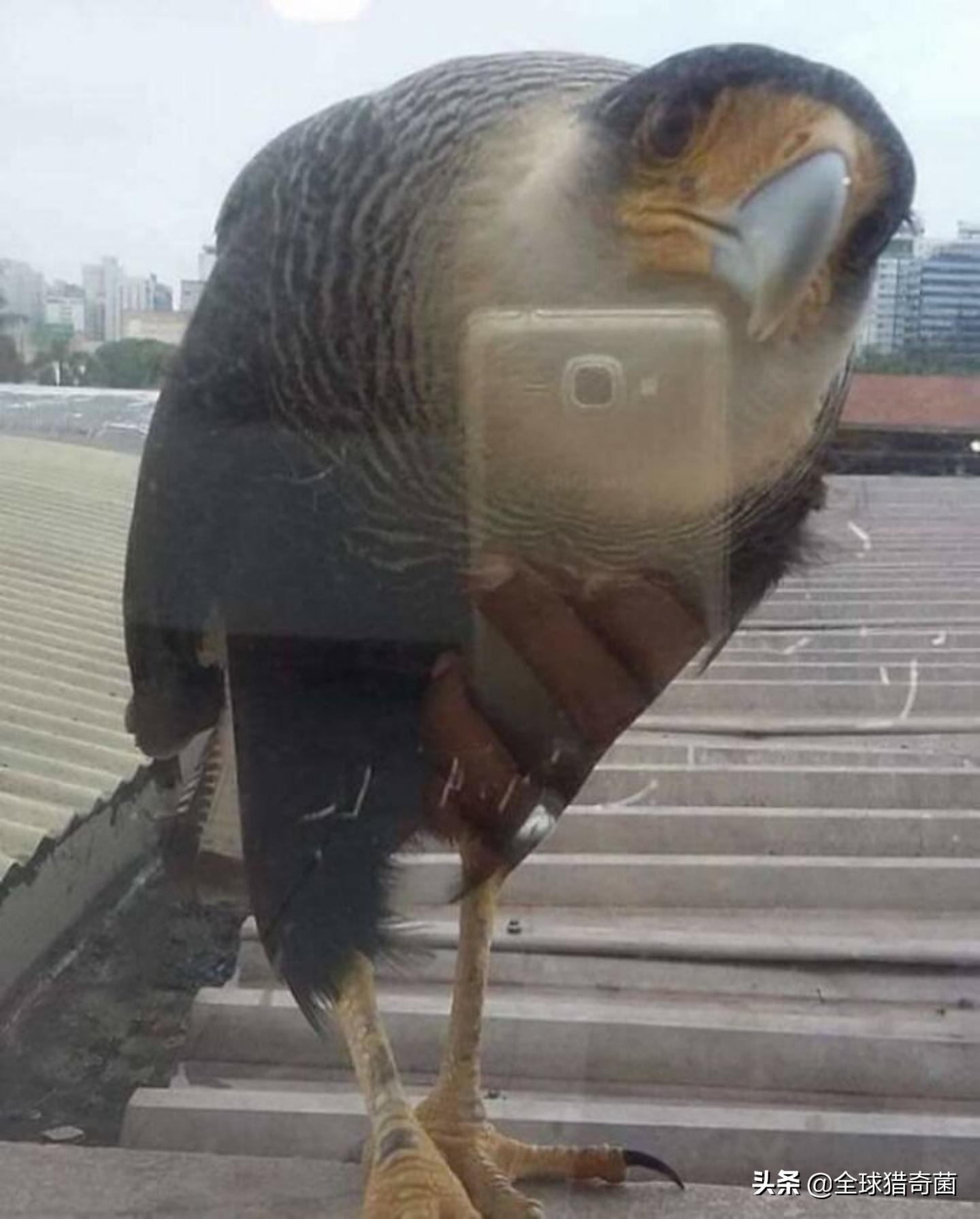 44张难以置信的图片,45张令人难以置信的图