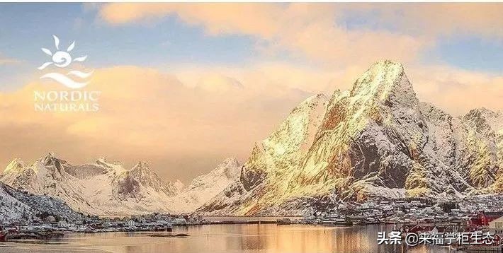 挪威小鱼深海鳕鱼油dha,挪威鱼肝油dha价格