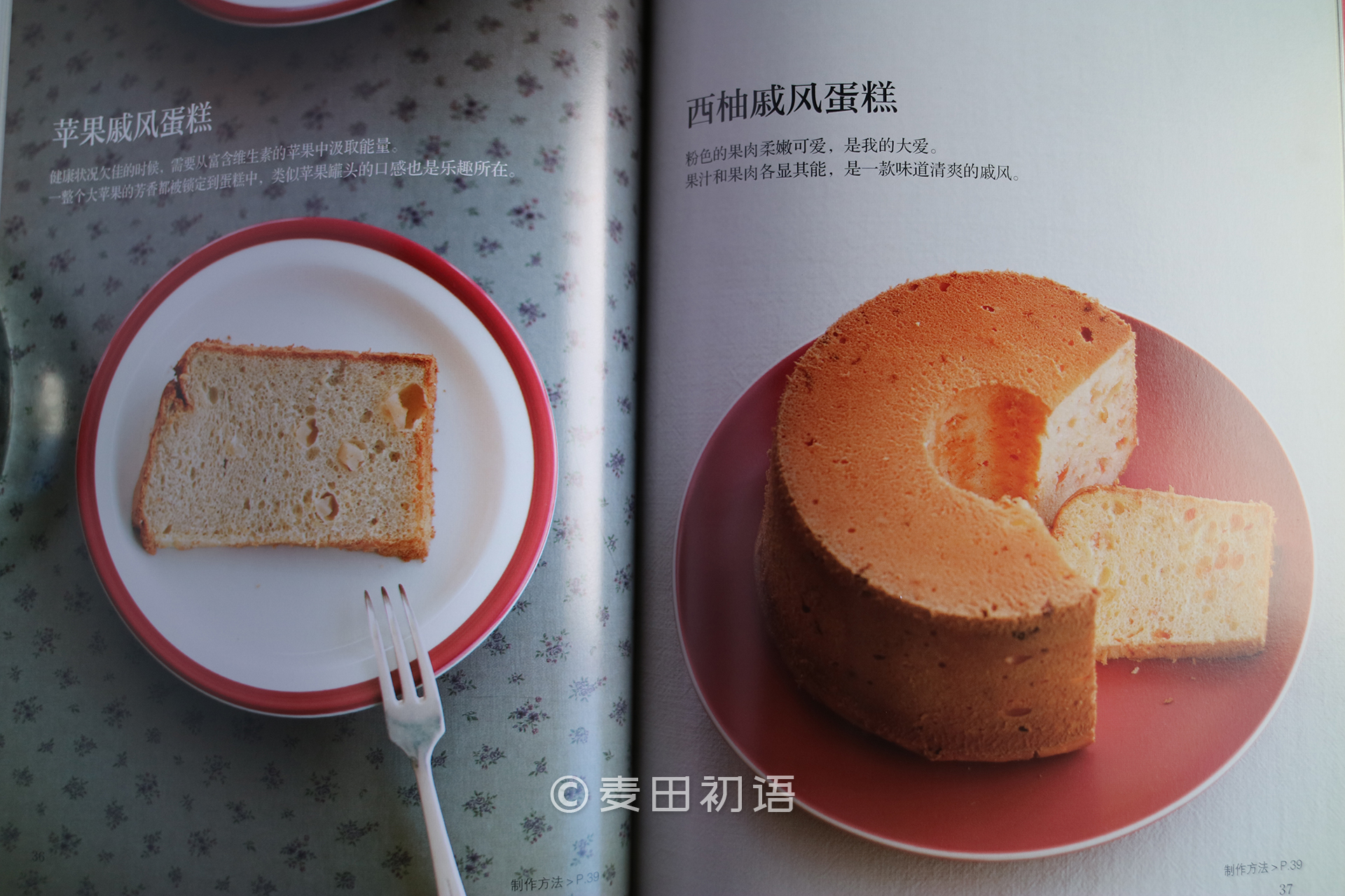 烘焙新手书,新手面包烘焙入门书