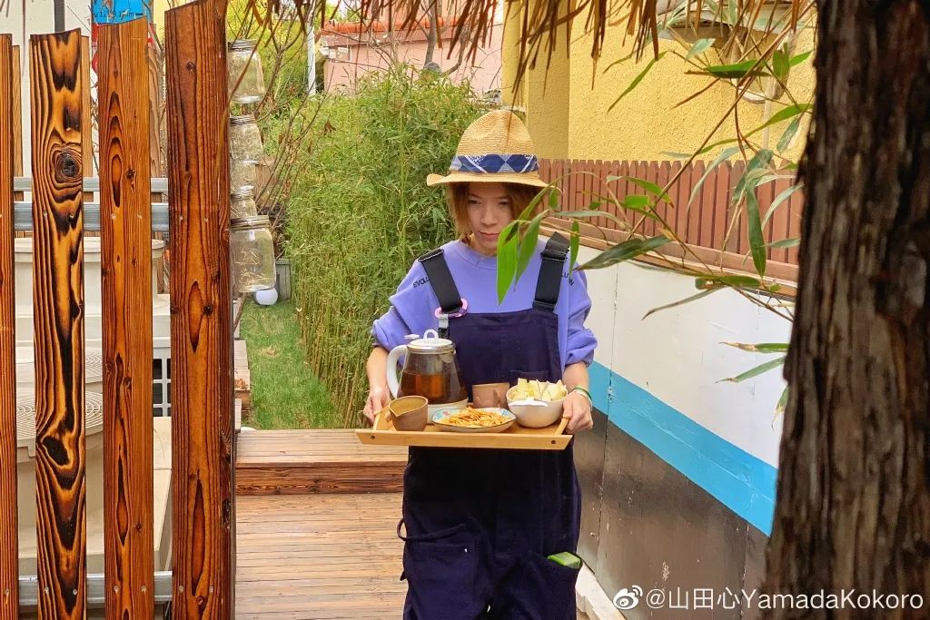 自从看了李子柒的视频,看了李子柒视频想回农村老家