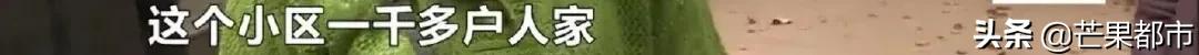 下楼了就不想上楼,长沙丽发新城小区老是停水怎么办