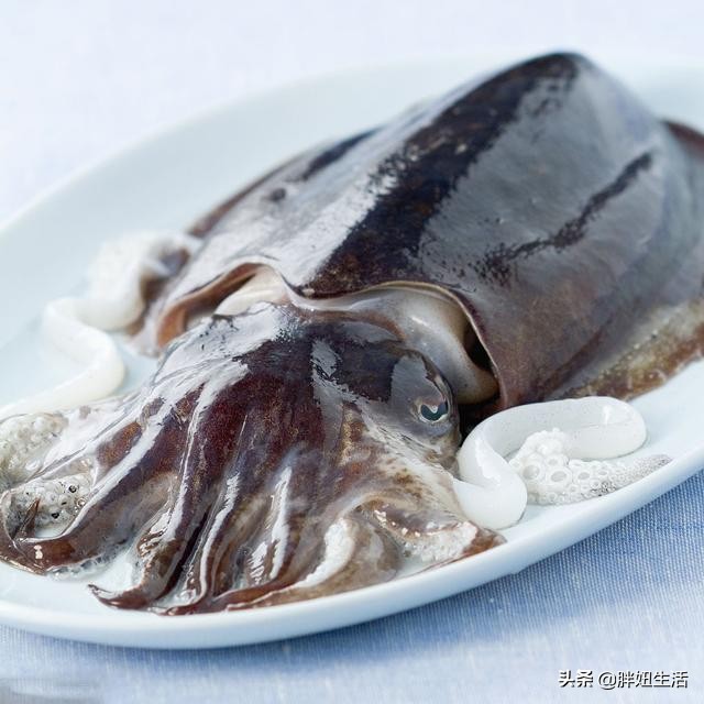 章鱼墨鱼鱿鱼该怎么分清呢,章鱼墨鱼鱿鱼的区别科普