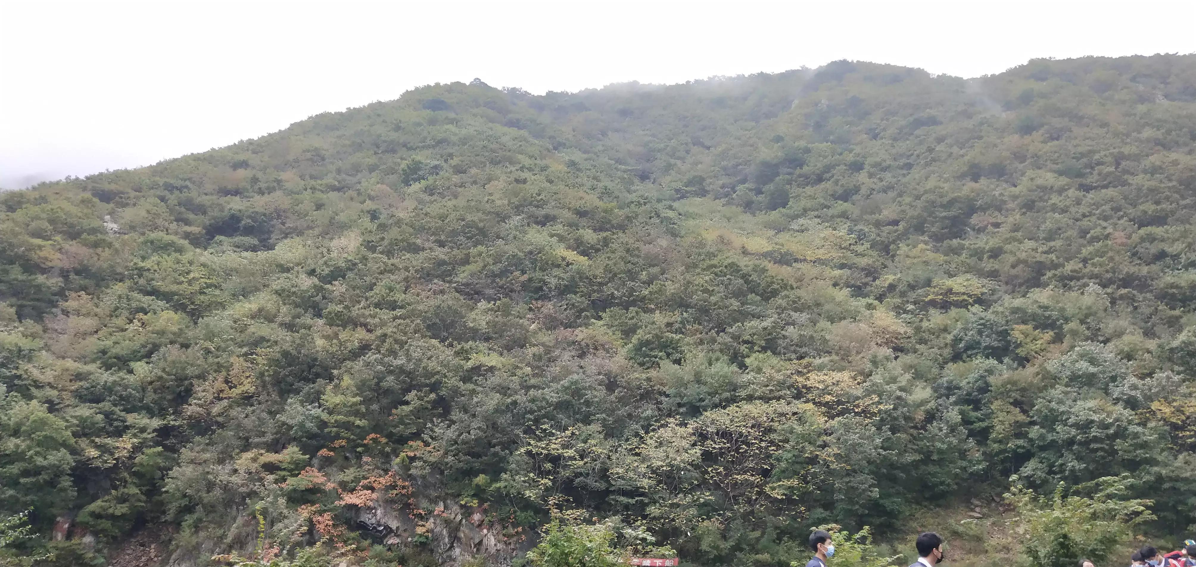 庄河天门山国家森林公园,庄河天门山冰雪大世界