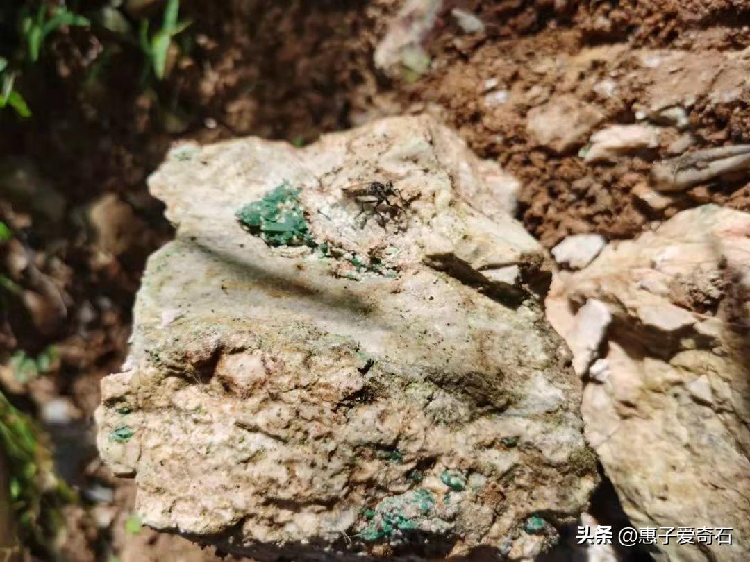 陕西新发现的玉矿,陕西发现紫绿色的玉