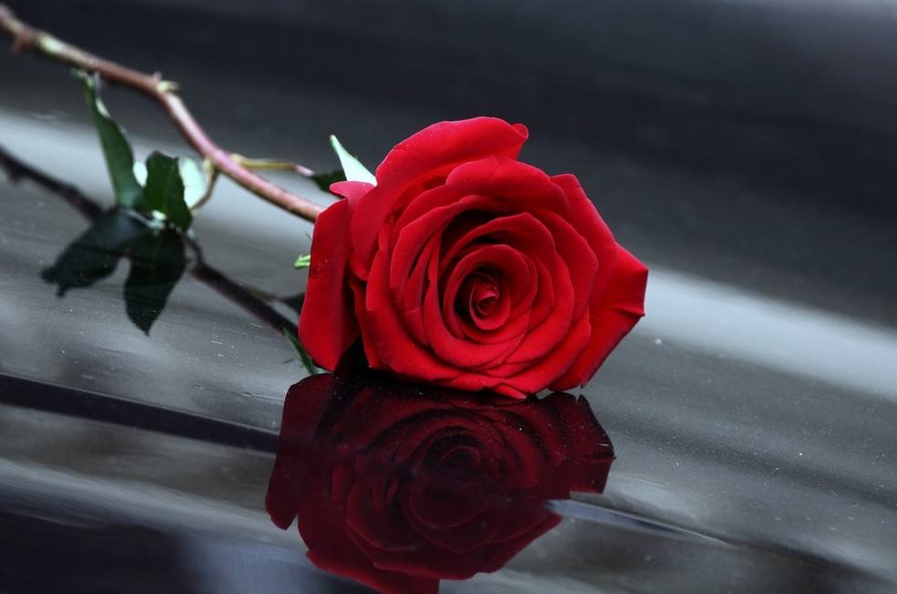 彼此爱过又分开,爱过了以后就分开