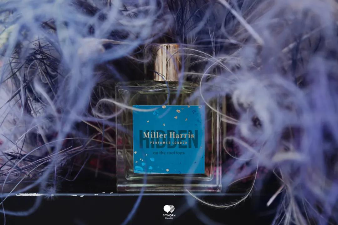 新天地空降一座“隐形”的气味花园，解锁伦敦气味密码