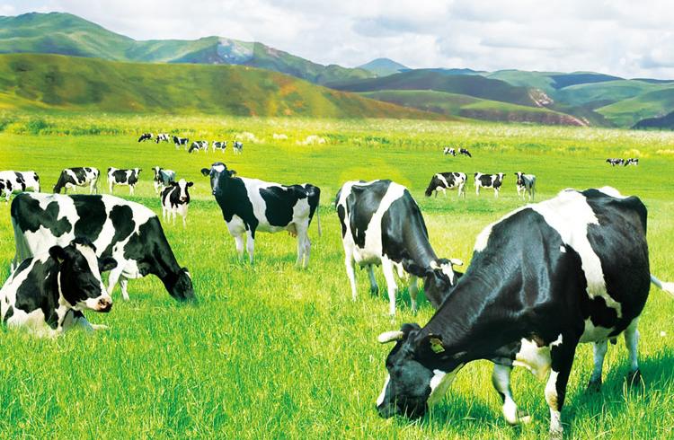 当产品足够优秀,产品品质和底气是最重要的