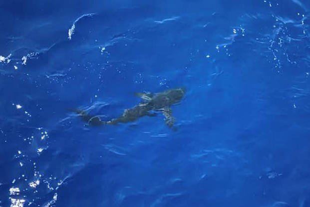 美海岸警卫队登上中国渔船,美海岸警卫队炮舰