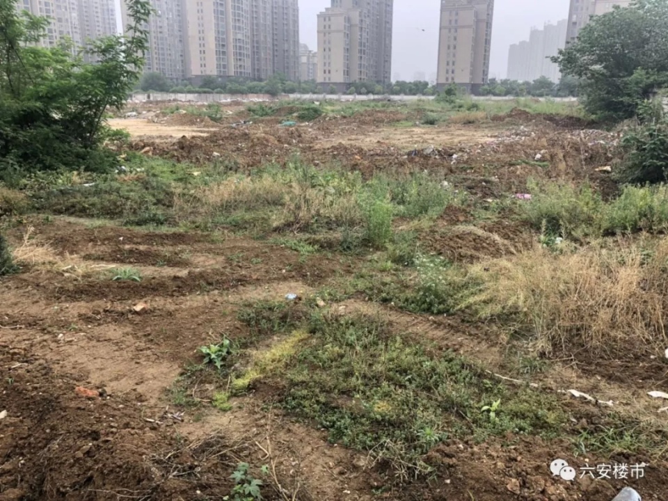 未拍先火！实探城东66.4亩住宅用地！已有房企来看地