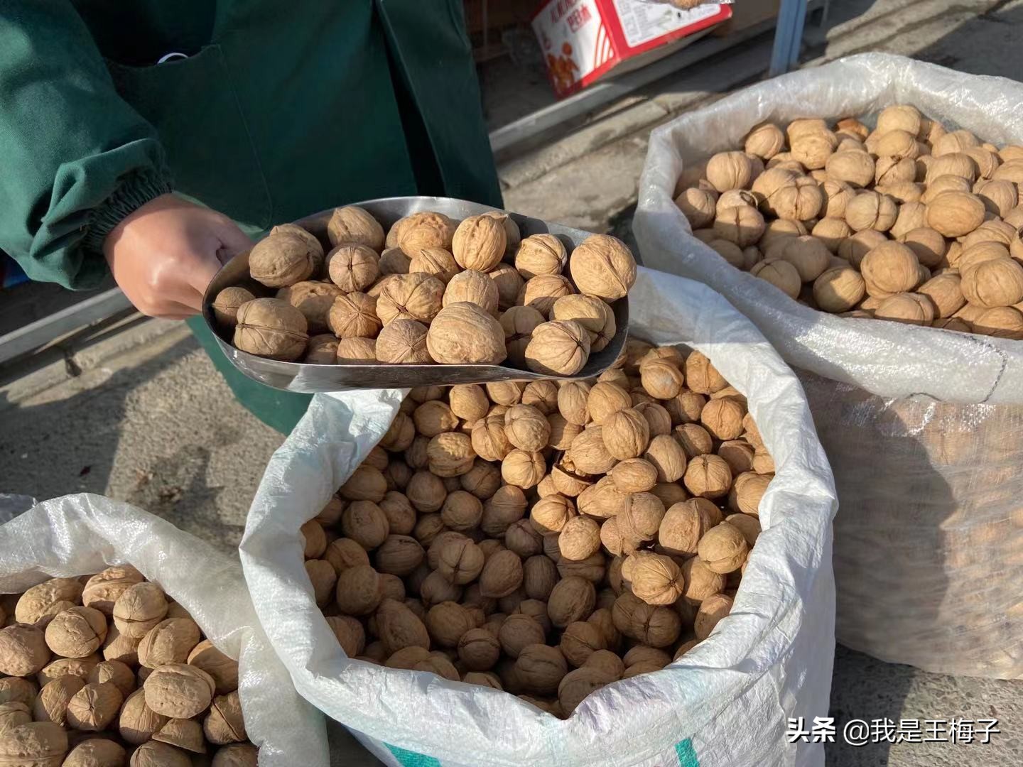 哪里的核桃口感最好,核桃产地哪最好吃