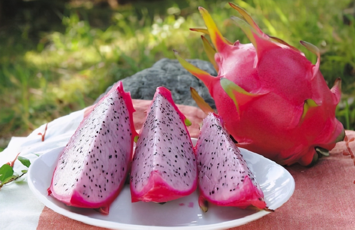 火龙果怎样买是最好的,红心火龙果怎么买新鲜又便宜