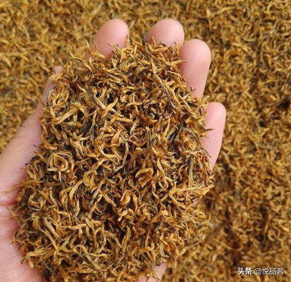 金骏眉多少钱一斤是正宗的,正宗金骏眉茶叶多少钱一斤