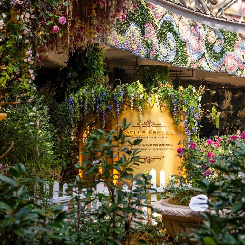 23位美妆达人溯源花之城 邂逅婕珞芙百年品牌魅力