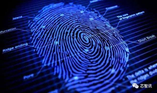 中国指纹芯片公司排名前十,汇顶指纹芯片世界第一