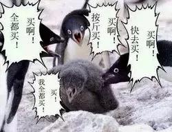 黑五疯狂打折视频,黑五冲进商场