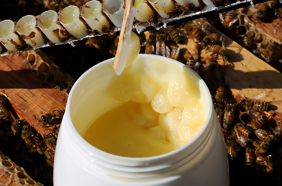 蜜蜂蜂王浆蜂胶蜂花粉的区别,蜂蜜和蜜蜂分不清