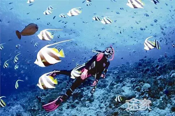 鼓浪屿现世外桃源美景,广东鼓浪屿