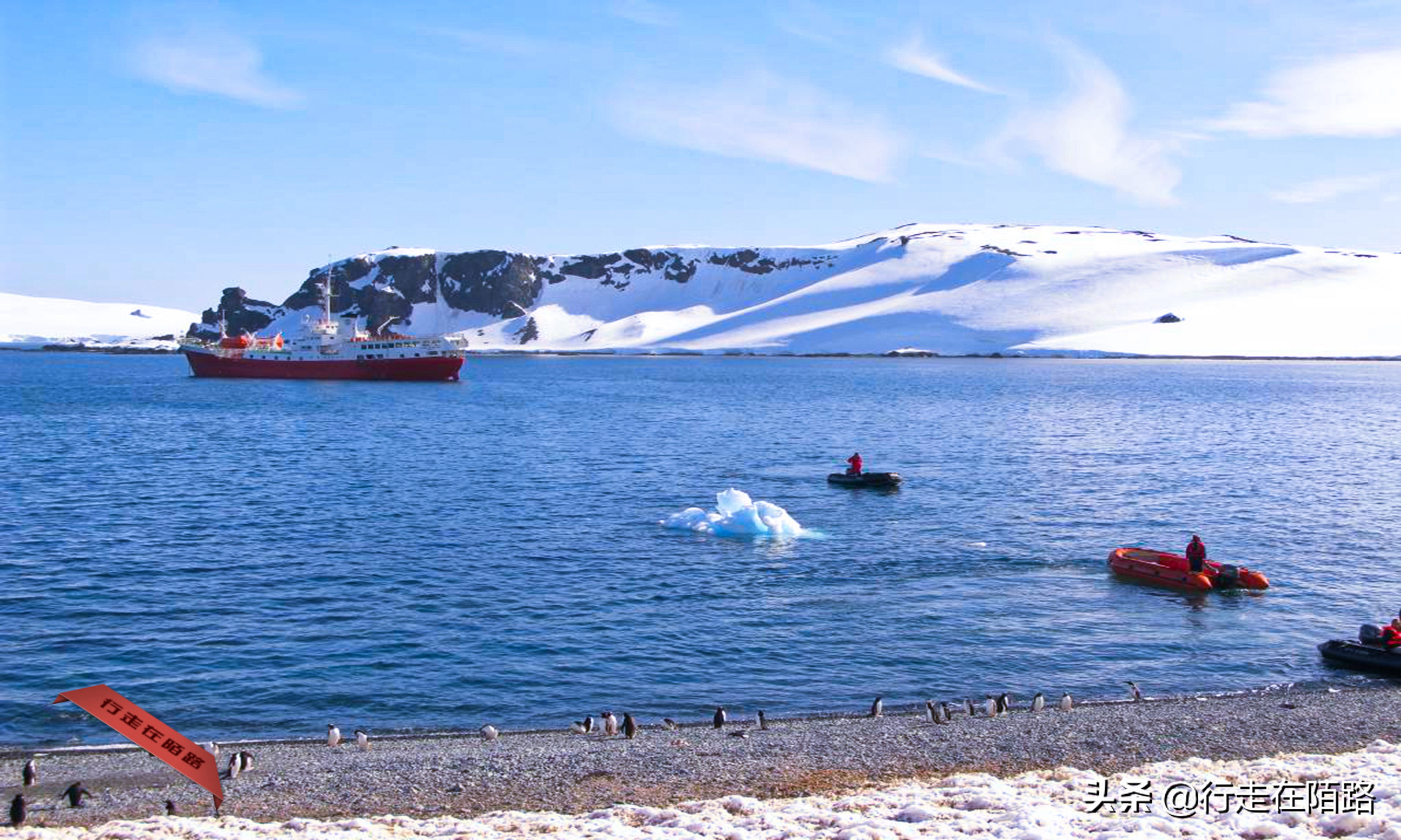 铲屎官招聘,邮局招聘吗