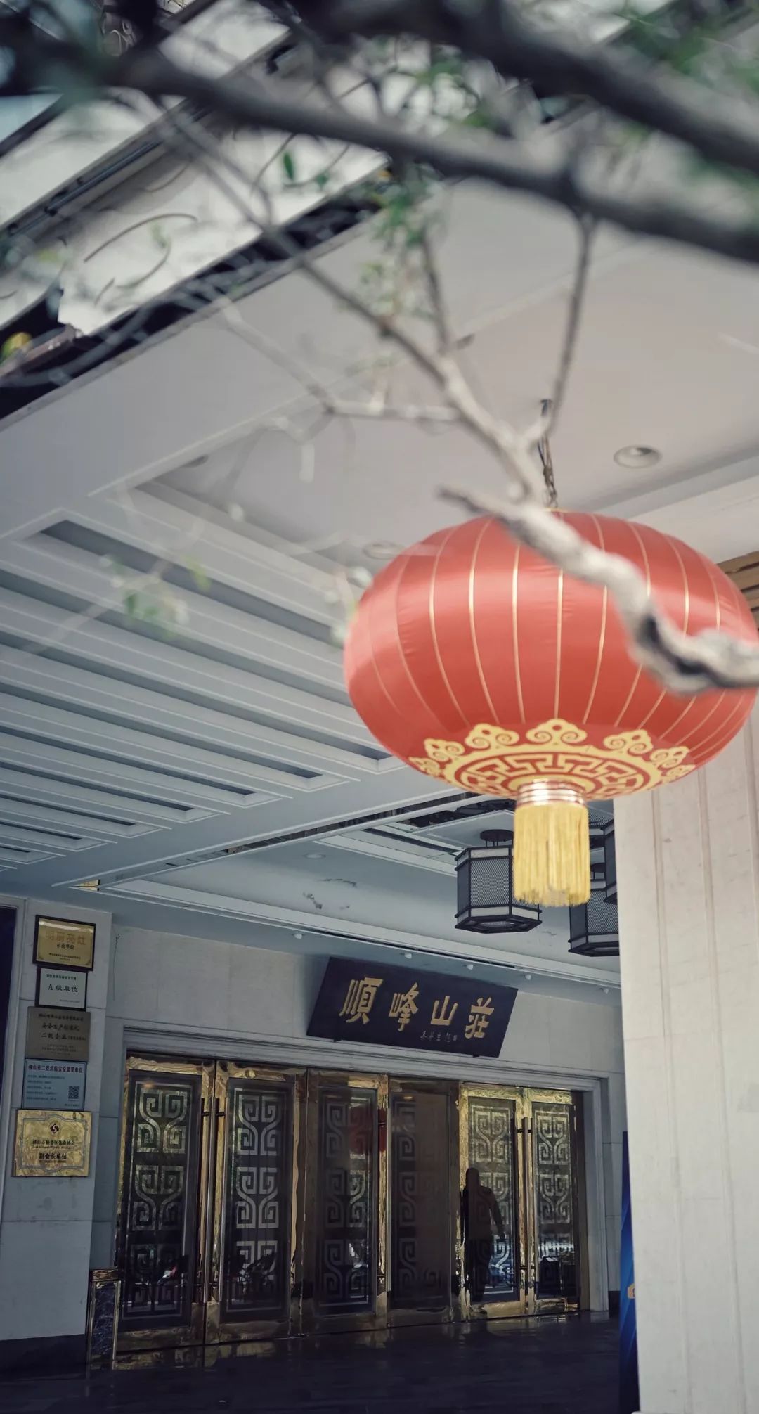 在顺德，如果有一分钟胃空了，算我输