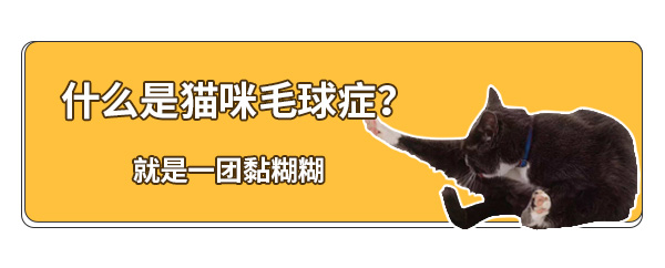 猫咪得了毛球症的症状,猫咪已经得了毛球症怎么治疗