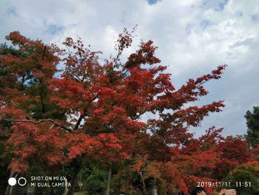 3月底日本关西8日游攻略,日本关西旅游攻略七日游
