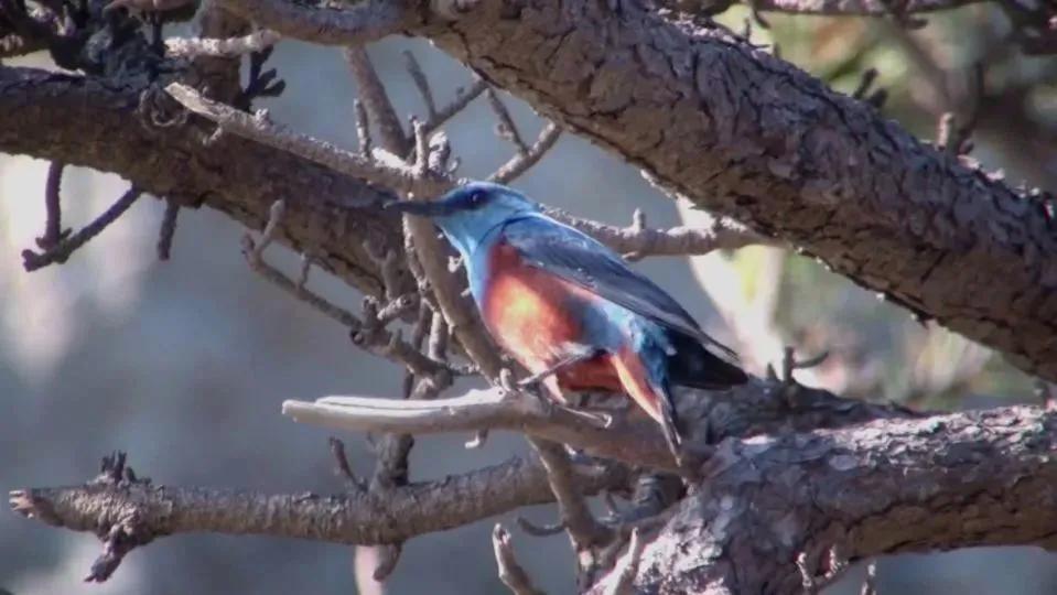 怎么宣传湖南南山国家公园,湖南南山国家公园有哪些景点