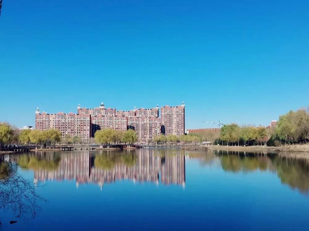 央视新闻中国院士,东北医学界院士