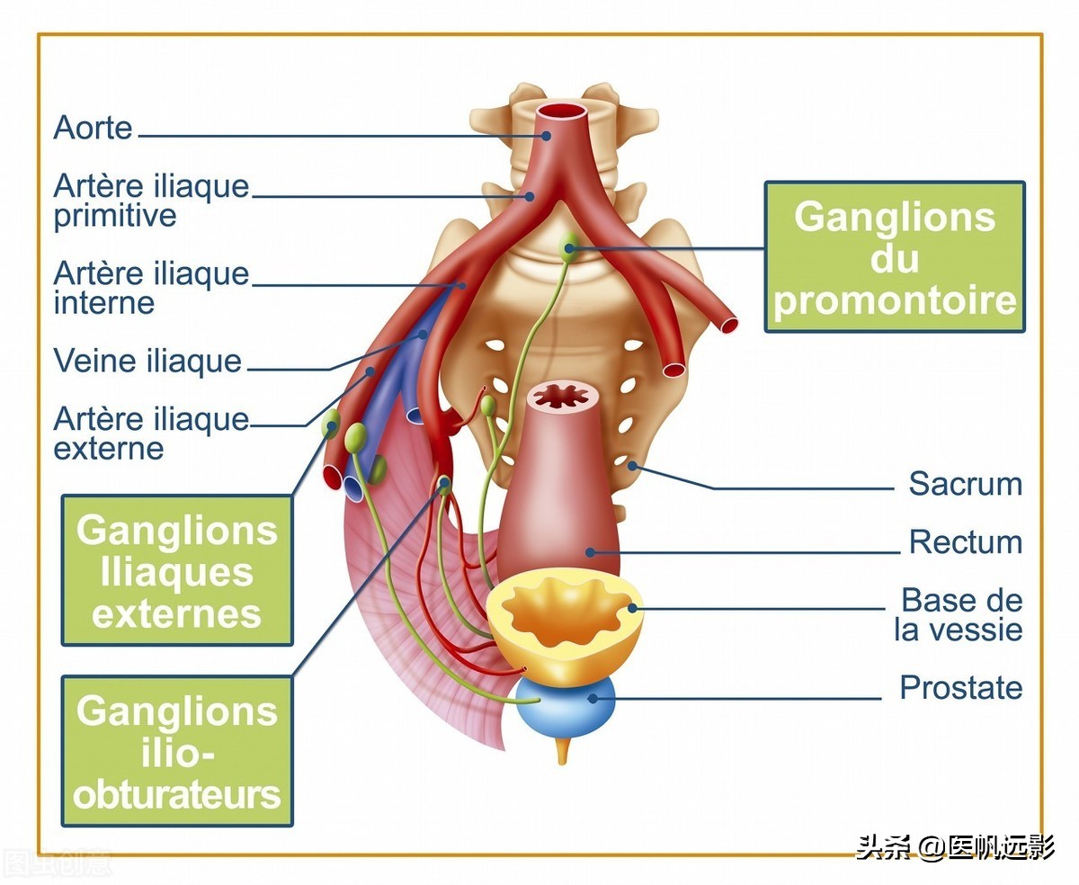 为什么性功能有问题却拿前列腺开玩笑?
