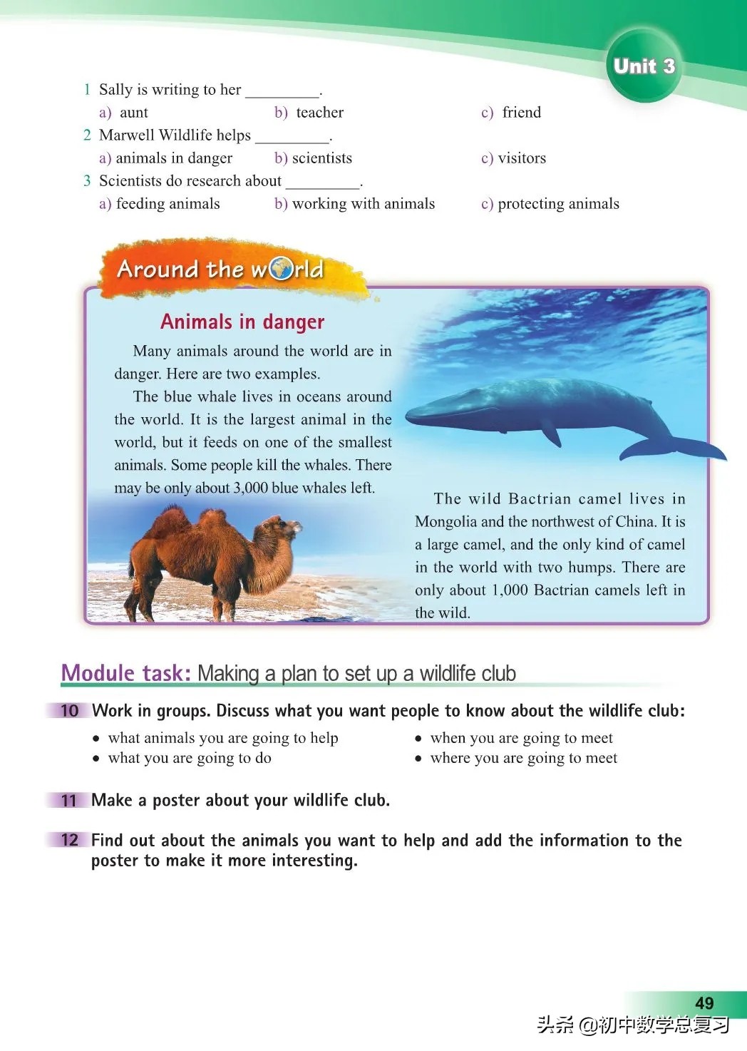 外研版英语八年级上册电子版,外研版英语电子课本八下