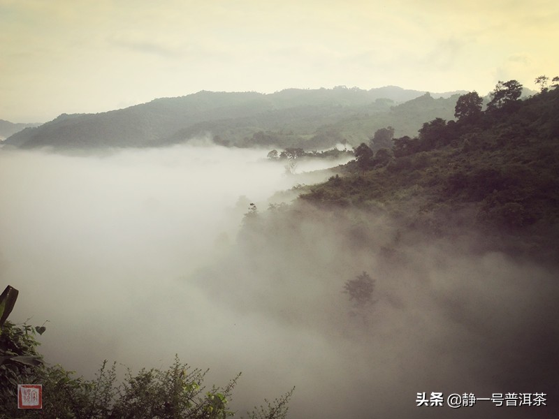 乾利贞宋聘号红标普洱茶,乾利贞宋聘号茶叶真假