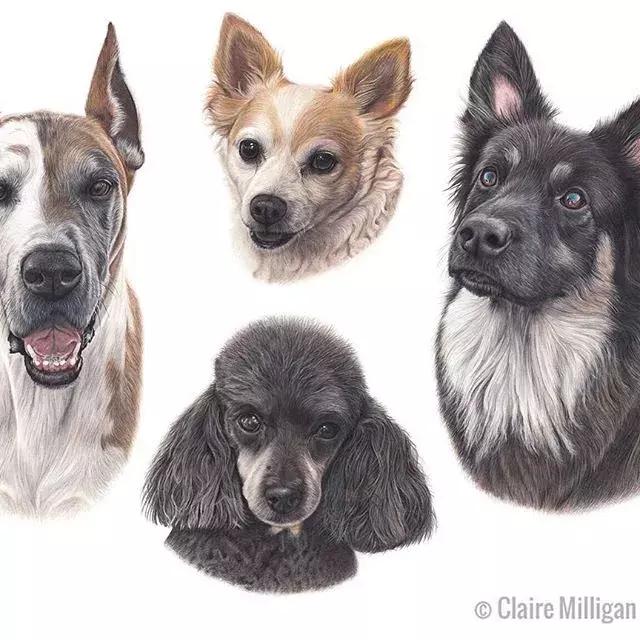 画得比实物好看,彩铅怎么样能画好看