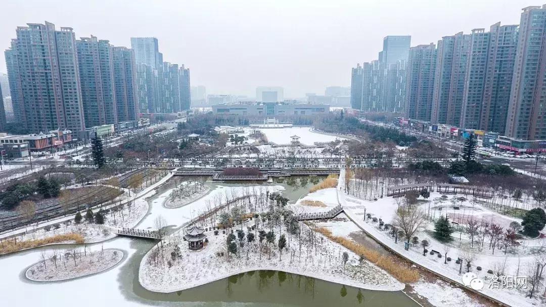 洛阳牡丹花会邀请,洛阳邀请全世界人民看牡丹