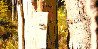 盘点电影中的花式开锁,电影中的一枪开锁在现实能做到么