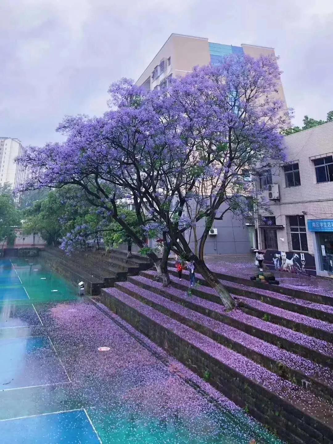 青年人得白血病能活多久,二十七岁小伙不幸罹患白血病