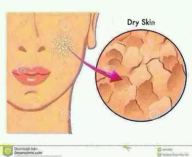 秋冬好用的水乳合集,秋冬水乳排行榜10强国货